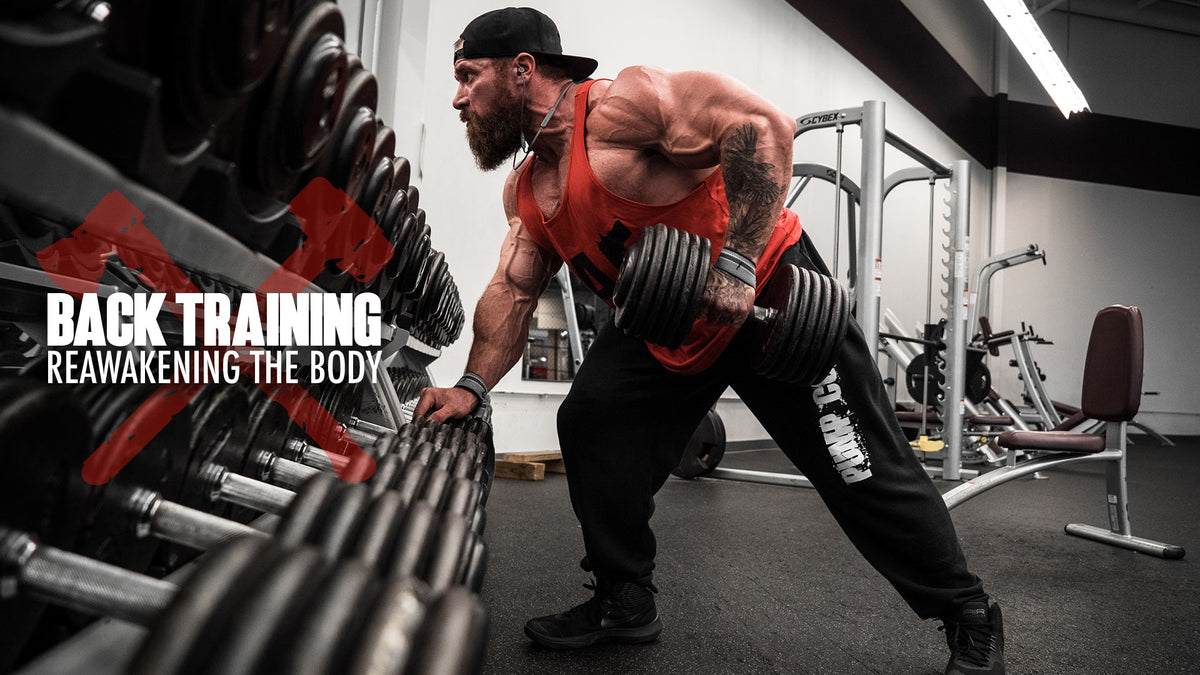 Back Training and Reawakening the Body – Axe & Sledge Supplements