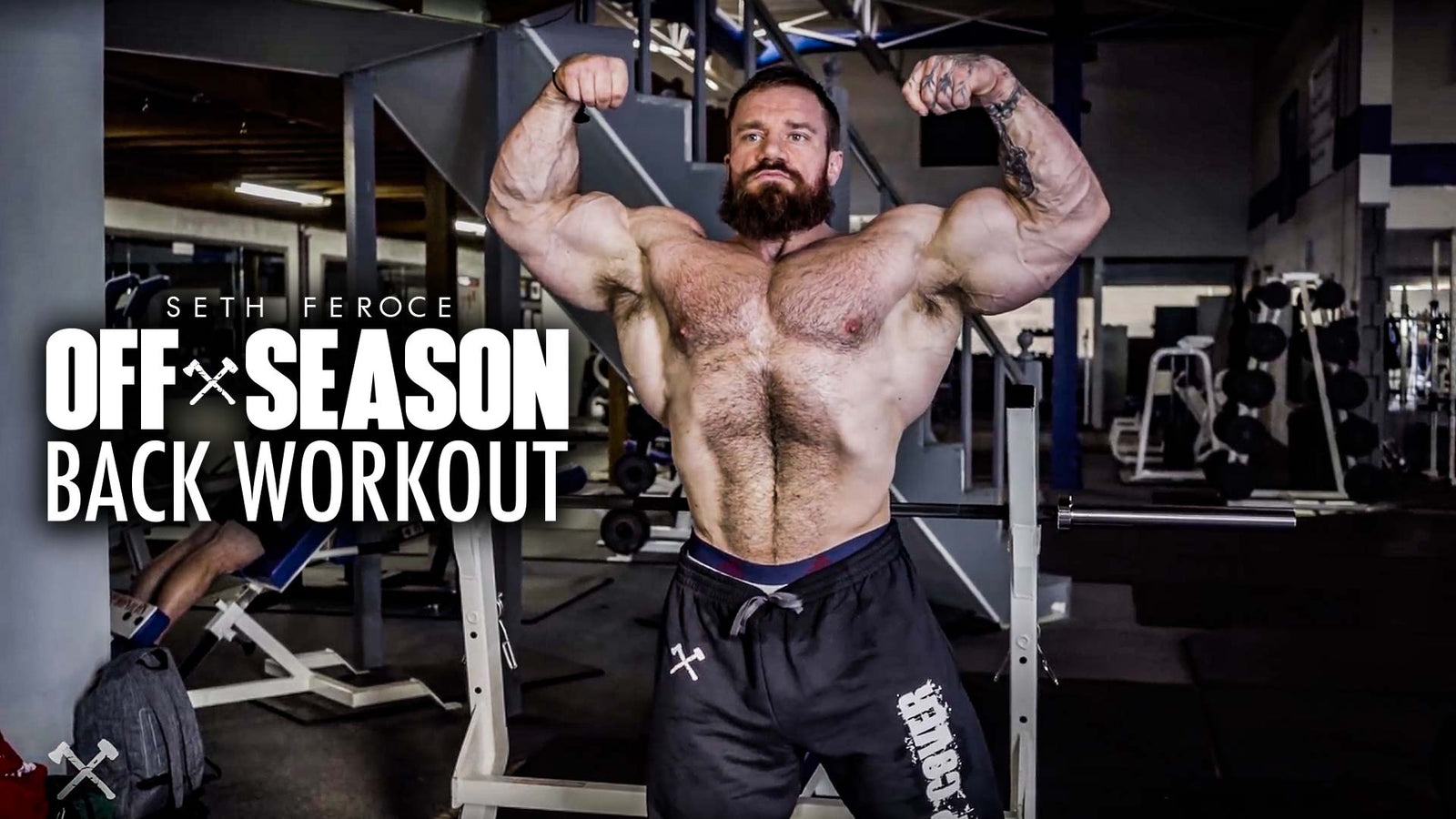 Off-Season Back Workout