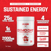 DEMO DAY