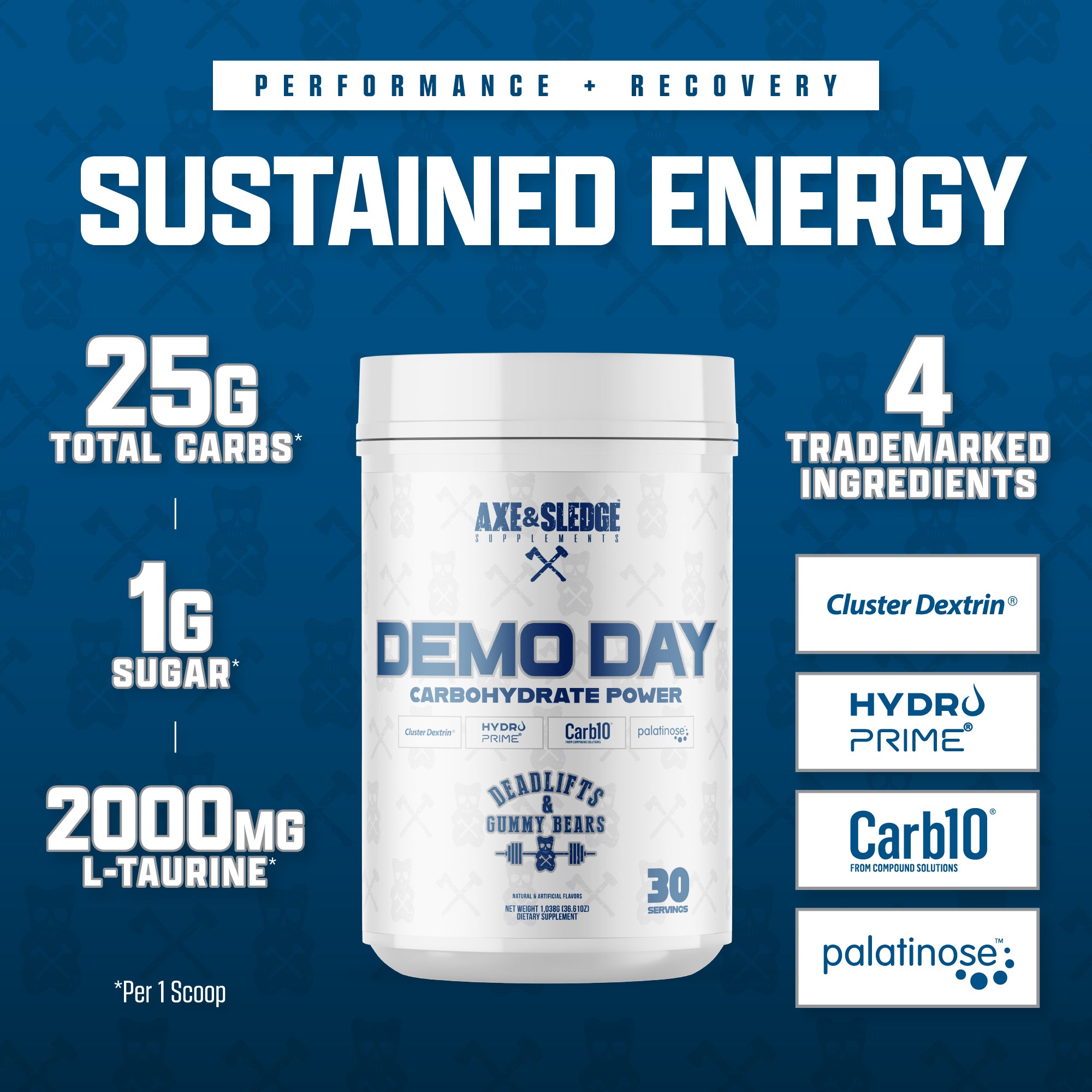 DEMO DAY