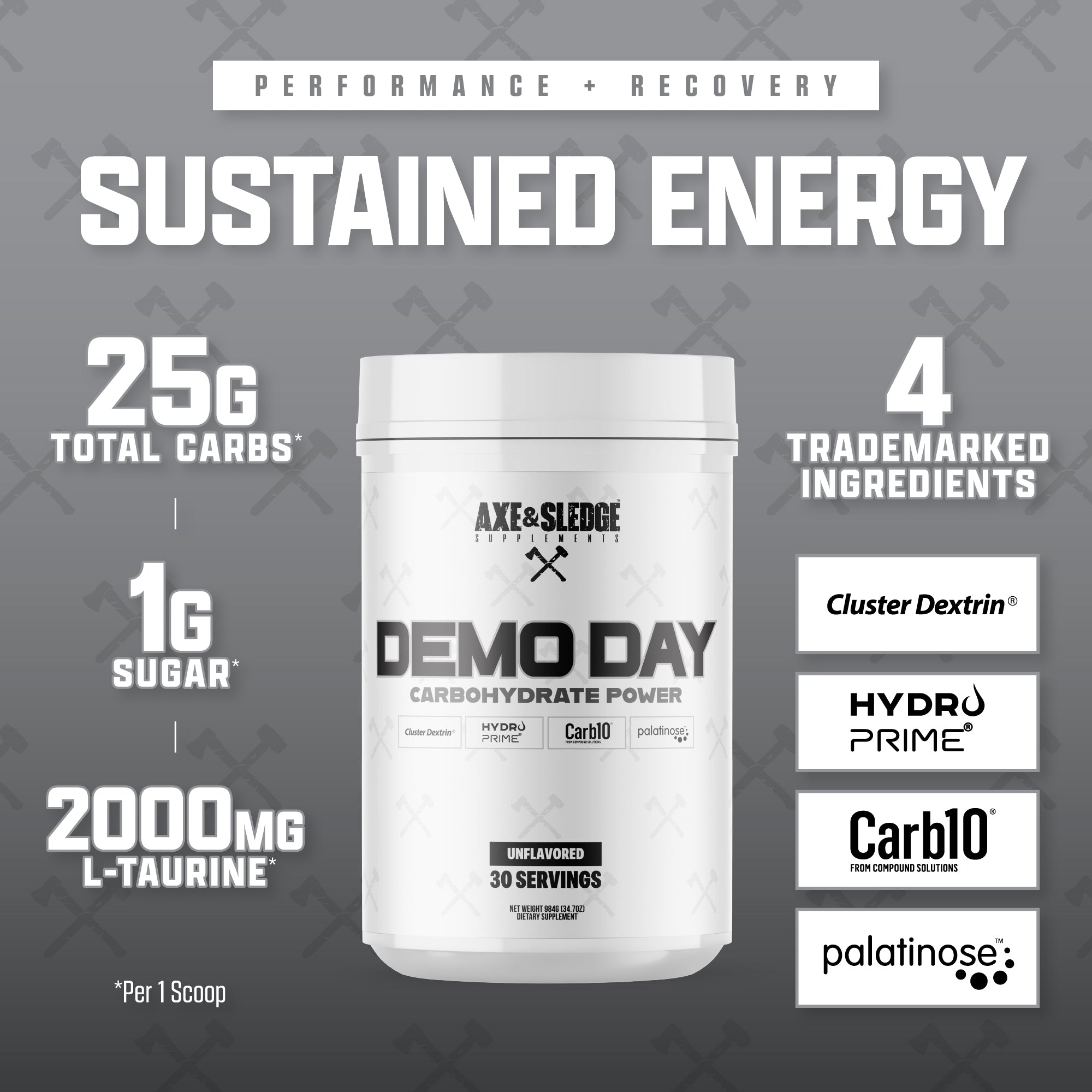 DEMO DAY