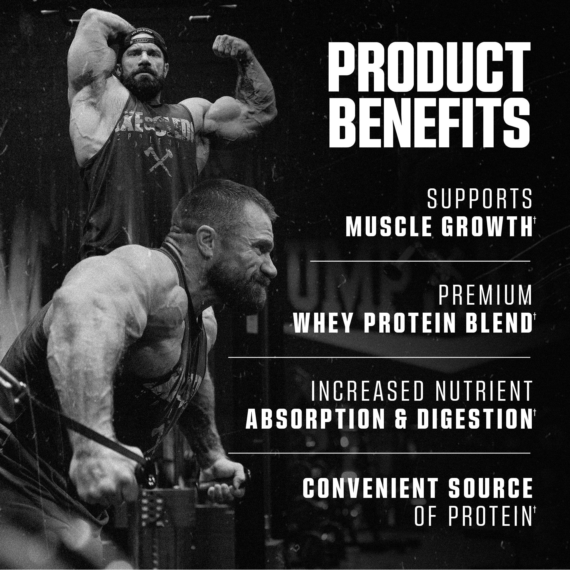 WHEY MORE BIRTHDAY CAKE