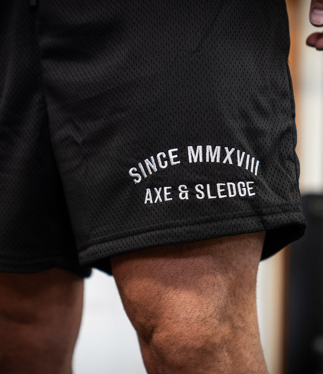 Collegiate Axe Mesh Shorts