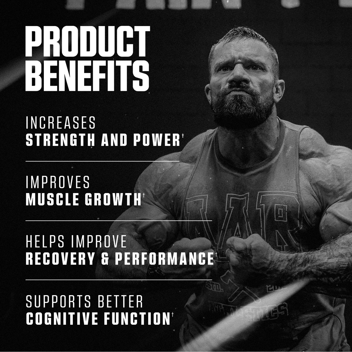 CREATINE // STRENGTH & MUSCLE GROWTH