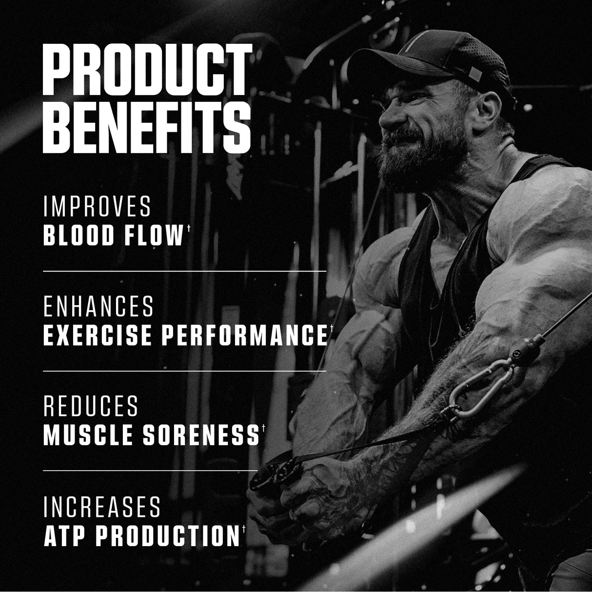 CITRULLINE // BASICS SERIES