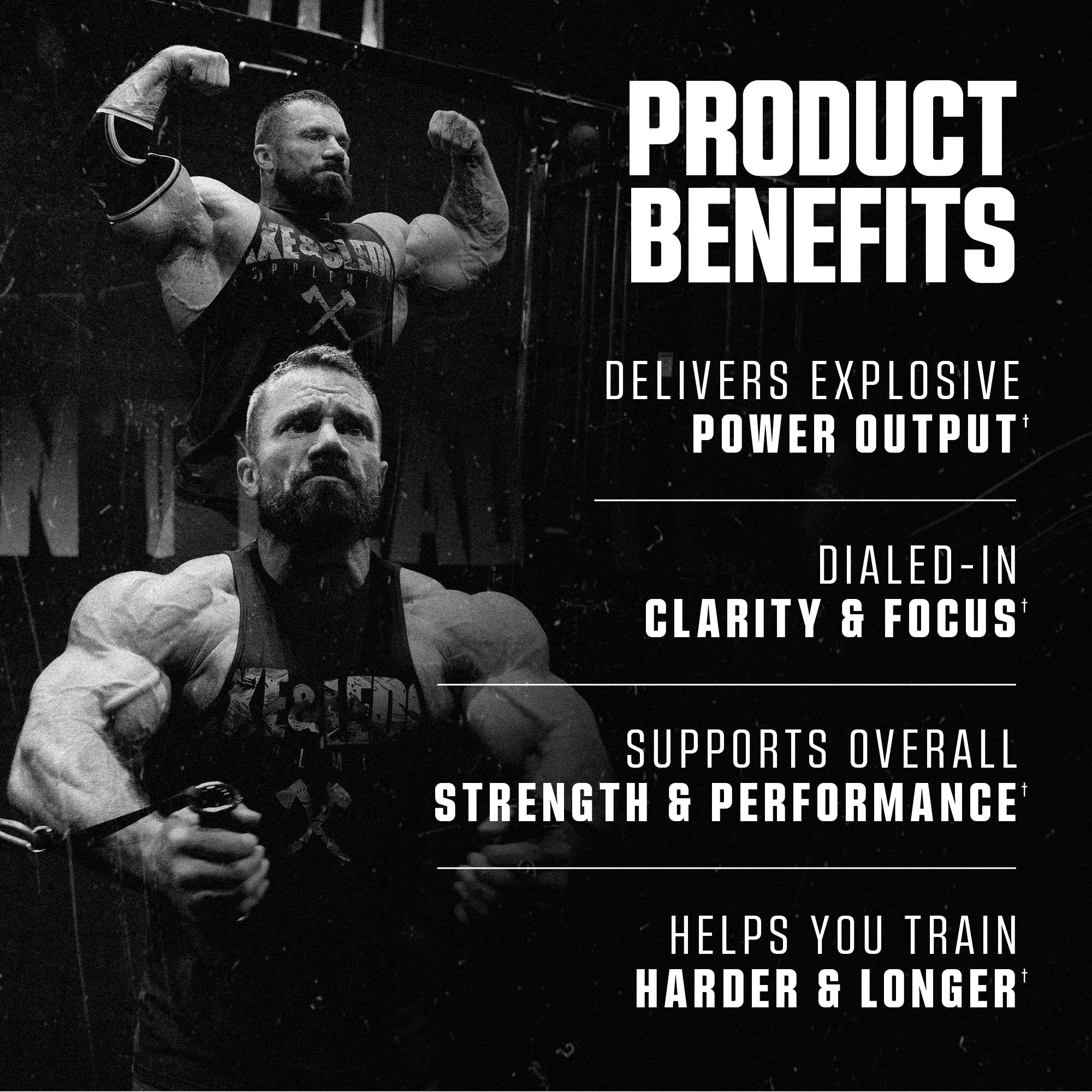 DBAP Axe & Sledge Supplements DBAP Axe & Sledge Supplements