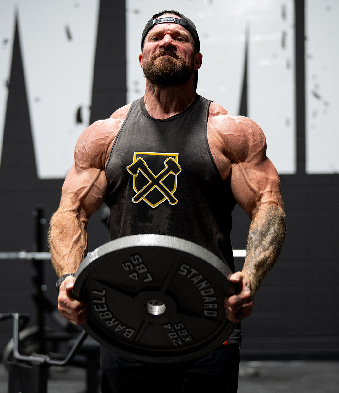 Axe Shield Seth Cut