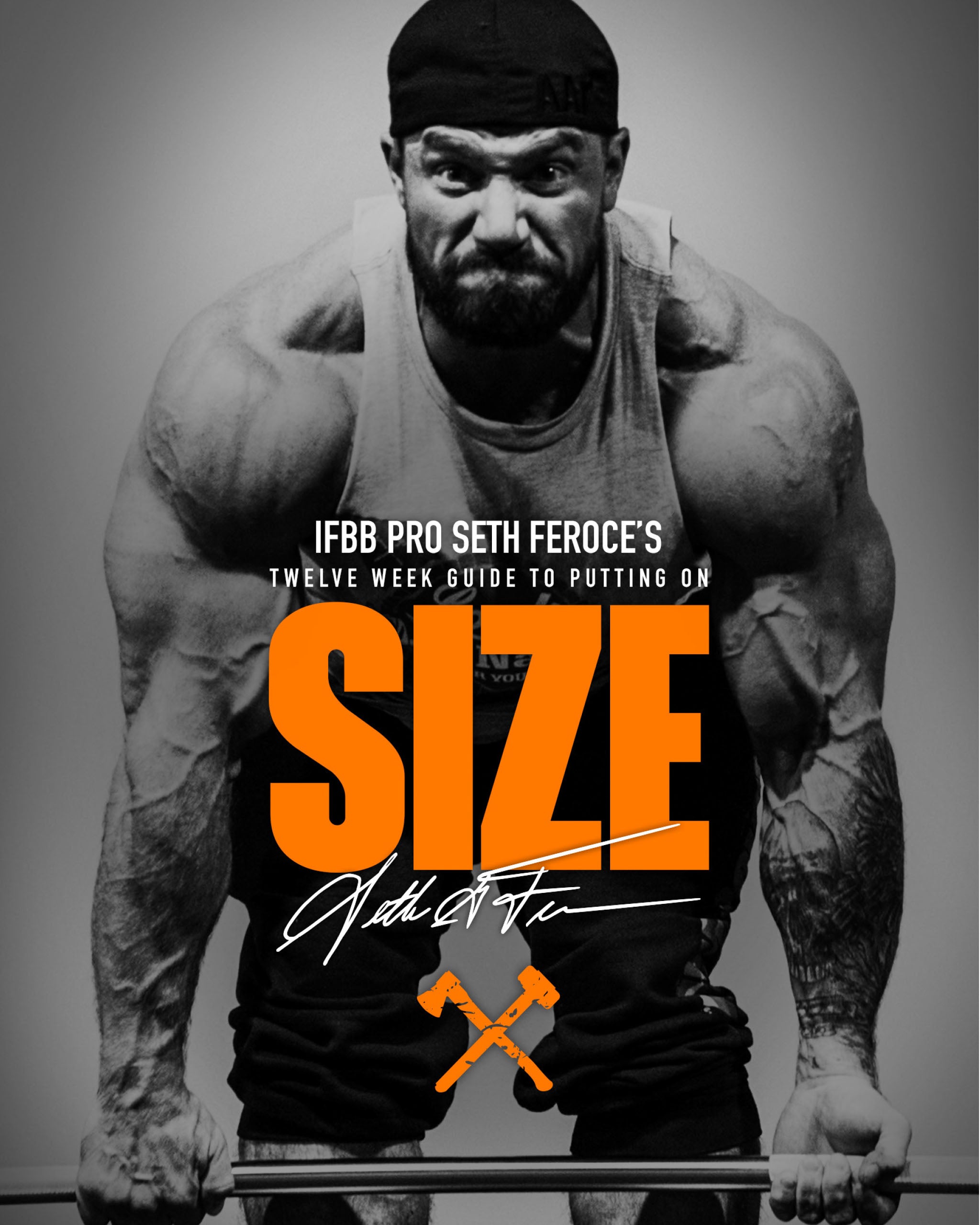 12-Week Size Program